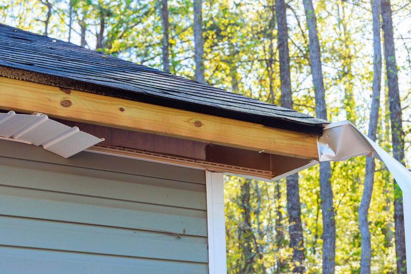 Metal Fascia Repair in Conroe, TX